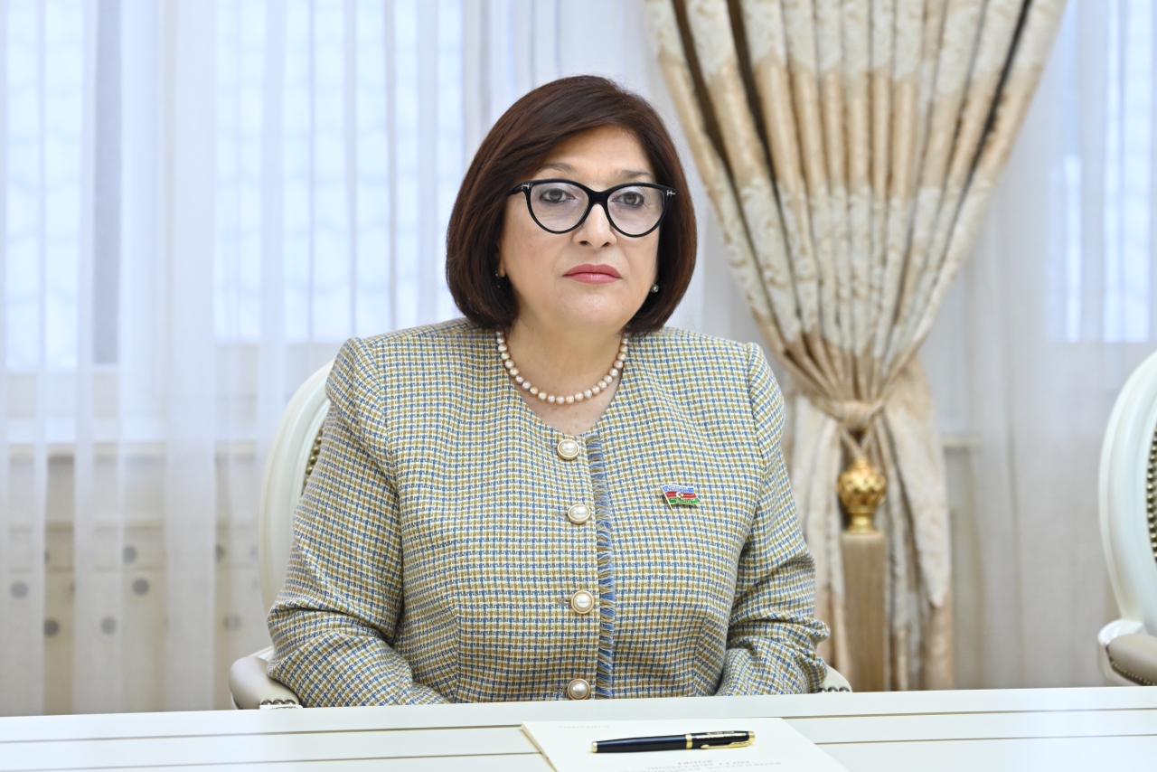 Sahibə Qafarova Ziya Öztürkler ilə görüşüb (FOTO)