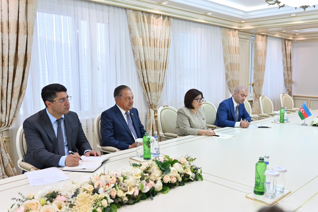Sahibə Qafarova Ziya Öztürkler ilə görüşüb (FOTO)