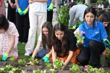 Leyla Əliyeva və Arzu Əliyeva Bakı Bulvarında mövsümi güllərin əkilməsi aksiyasında iştirak ediblər (FOTO)