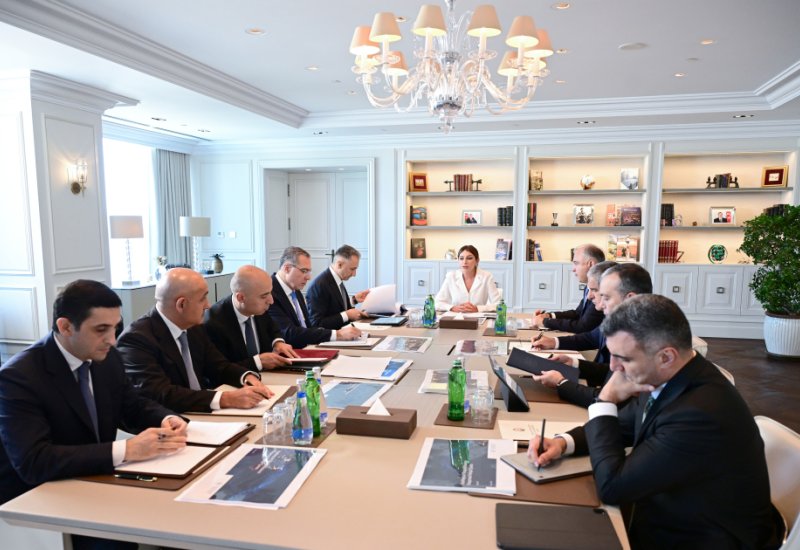Birinci vitse-prezident Mehriban Əliyevanın sədrliyi ilə Rəqəmsal İnkişaf Şurasının ilk iclası keçirilib (FOTO)