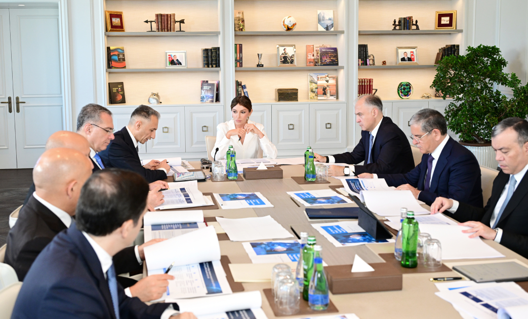 Birinci vitse-prezident Mehriban Əliyevanın sədrliyi ilə Rəqəmsal İnkişaf Şurasının ilk iclası keçirilib (FOTO)