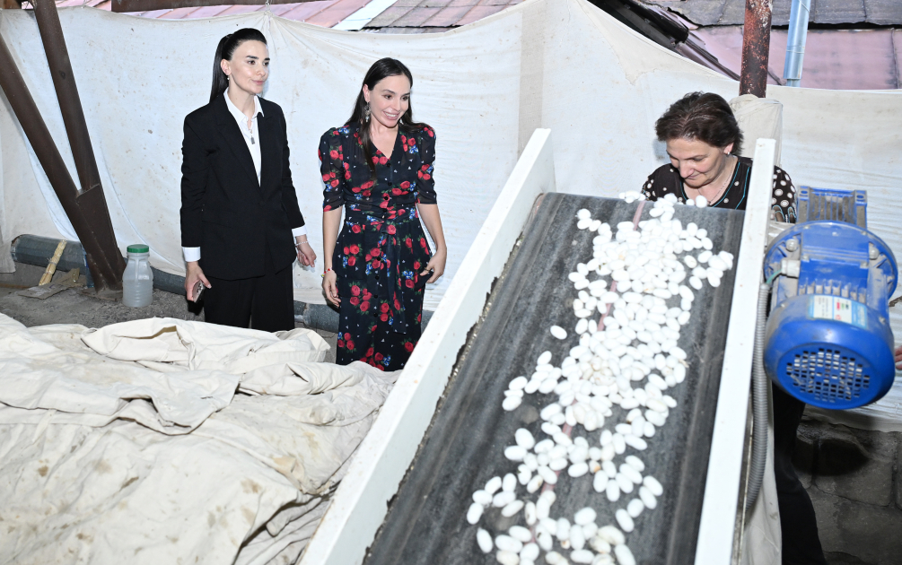 Heydər Əliyev Fondunun vitse-prezidenti Leyla Əliyeva “Azəripək” ASC-nin fəaliyyəti ilə yaxından tanış olub (FOTO)