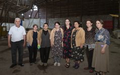 Heydər Əliyev Fondunun vitse-prezidenti Leyla Əliyeva “Azəripək” ASC-nin fəaliyyəti ilə yaxından tanış olub (FOTO)