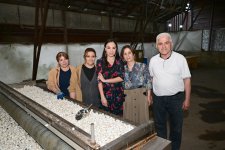 Heydər Əliyev Fondunun vitse-prezidenti Leyla Əliyeva “Azəripək” ASC-nin fəaliyyəti ilə yaxından tanış olub (FOTO)