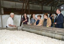 Heydər Əliyev Fondunun vitse-prezidenti Leyla Əliyeva “Azəripək” ASC-nin fəaliyyəti ilə yaxından tanış olub (FOTO)