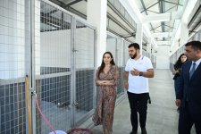 Leyla Əliyeva Yevlaxda Sahibsiz Heyvanlara Qayğı Mərkəzinin regional bölməsinin açılışında iştirak edib (FOTO)