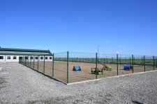 Leyla Əliyeva Yevlaxda Sahibsiz Heyvanlara Qayğı Mərkəzinin regional bölməsinin açılışında iştirak edib (FOTO)