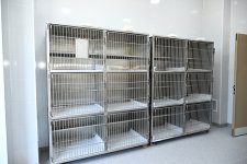 Leyla Əliyeva Yevlaxda Sahibsiz Heyvanlara Qayğı Mərkəzinin regional bölməsinin açılışında iştirak edib (FOTO)