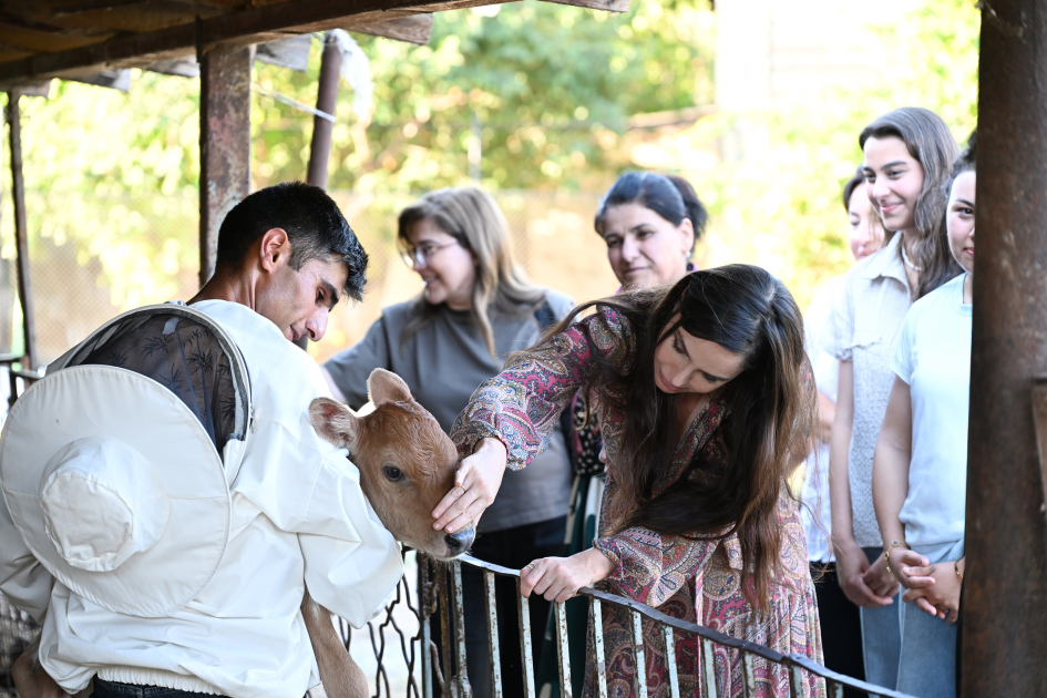 Leyla Əliyeva Yevlaxda “Gənc arıçı” layihəsinin iştirakçısı ilə görüşüb (FOTO)
