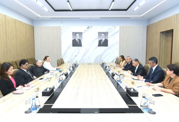 Azərbaycan və BMT arasında yol hərəkəti təhlükəsizliyi müzakirə olunub (FOTO)
