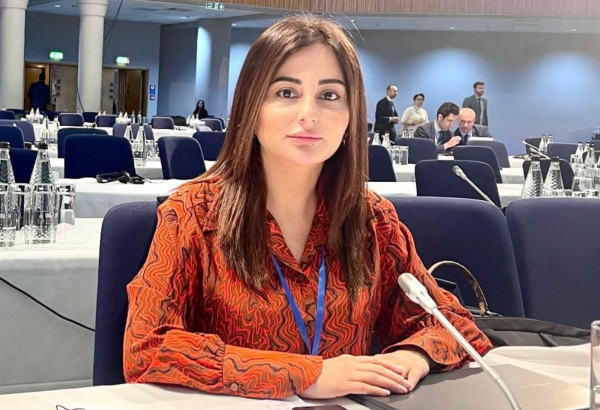 Strateji tərəfdaşlığın yeni mərhələsi