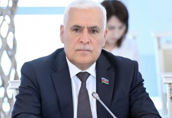 Prezident İlham Əliyevin Almaniyaya səfəri ikitərəfli əlaqələrdə yeni perspektivlər açacaq - Vüqar Rəhimzadə