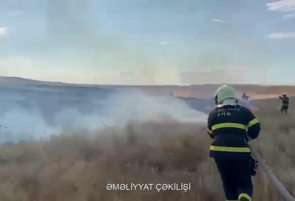 Qazaxda taxıl sahəsində yanğın olub (VİDEO)