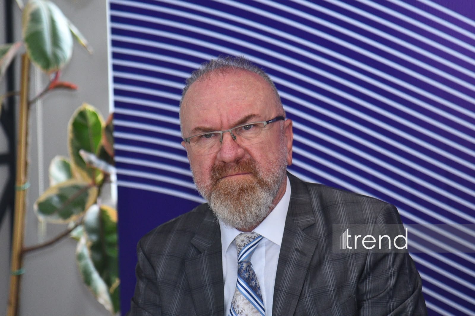 Şuşada mədəni müxtəliflik üzrə beynəlxalq konfrans öz işinə başlayıb (FOTO)