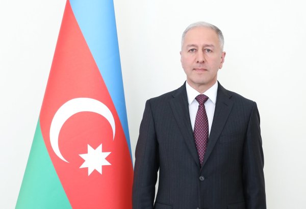 Səhiyyə nazirinə yeni müavin təyin olunub