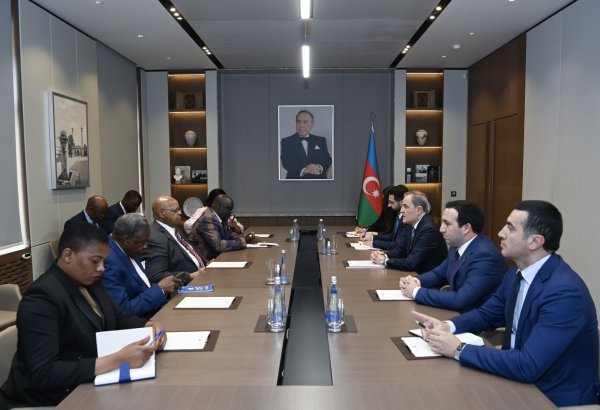 XİN başçısı Zimbabve parlamentinin sədrini qəbul edib (FOTO)