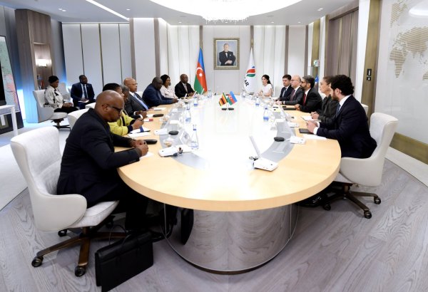 SOCAR ilə Zimbabve arasında enerji əməkdaşlığı müzakirə olunub