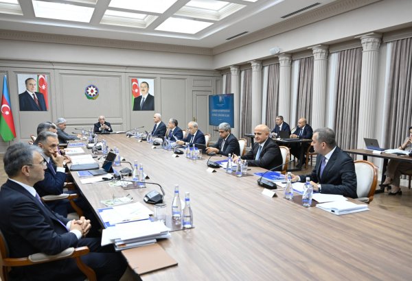 Əli Əsədovun rəhbərliyi ilə İqtisadi Şuranın iclası keçirilib (FOTO)