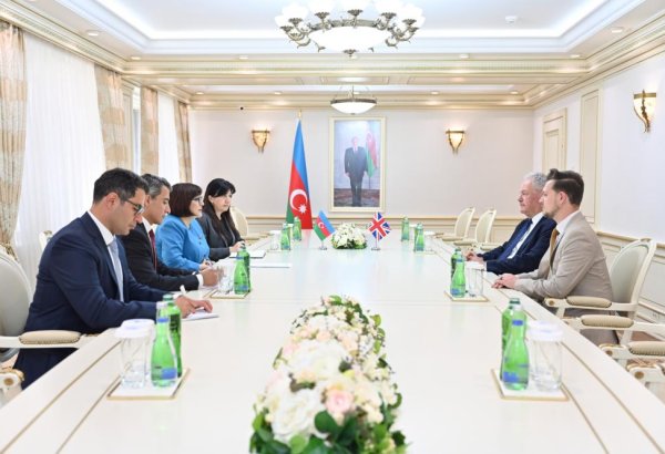 Sahibə Qafarova Bob Bləkmənlə parlamentlərarası əməkdaşlığı müzakirə edib (FOTO)