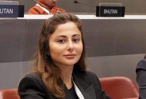 Azərbaycan beynəlxalq siyasi dialoq məkanına çevrilir