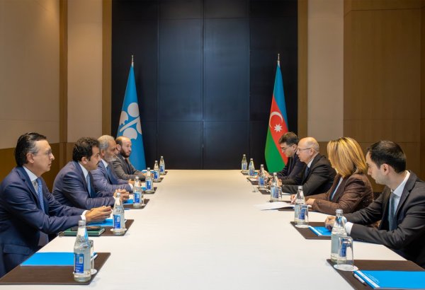 Energetika naziri Neft İxrac Edən Ölkələr Təşkilatının (OPEC) Baş katibi ilə görüşüb (FOTO)