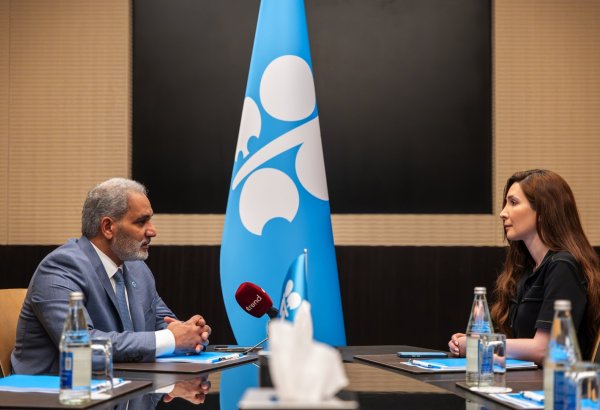 OPEC: Enerji keçidi neft və qazın sıxışdırılıb çıxarılması alətinə çevrilməməlidir