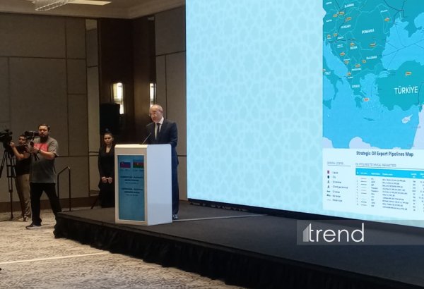 Azərbaycan iqtisadi artım potensialı ən yüksək olan prioritet sahələri müəyyənləşdirib