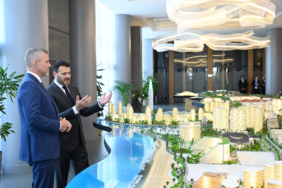 Slovakiya Prezidenti “Sea Breeze”lə tanış olub (FOTO)