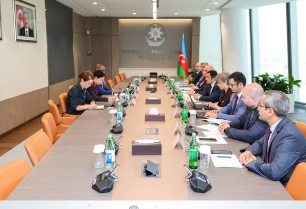 AMB və BVF inflyasi və pul-kredit siyasətinin prioritetlərini müzakirə edib