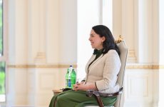 Prezident İlham Əliyev İrlandiyanın Azərbaycanda yeni təyin olunmuş səfirinin etimadnaməsini qəbul edib (FOTO)