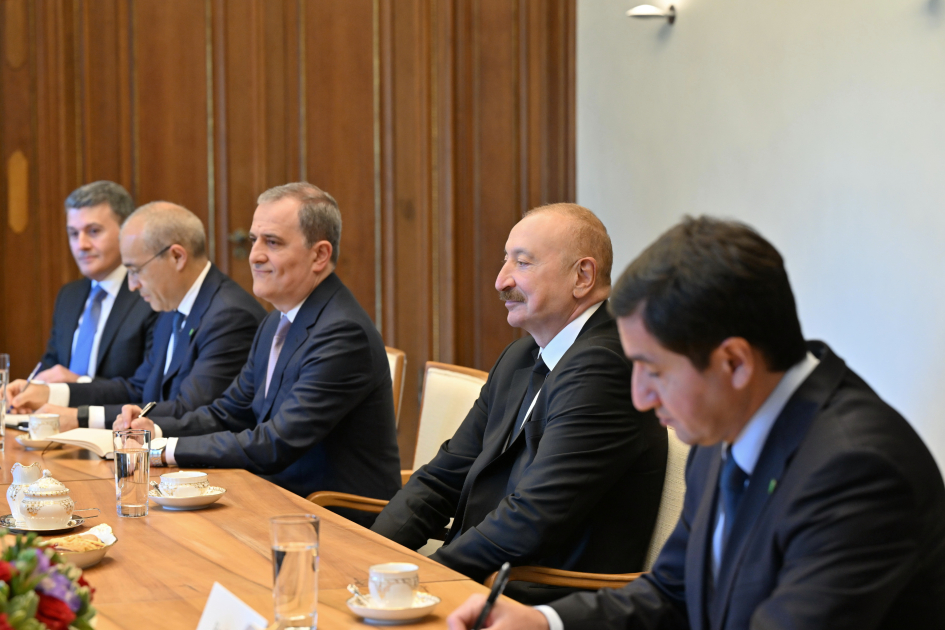 Azərbaycan Prezidenti İlham Əliyevin və Almaniya Prezidenti Frank-Valter Ştaynmayerin geniş tərkibdə görüşü olub (FOTO) (YENİLƏNİB)
