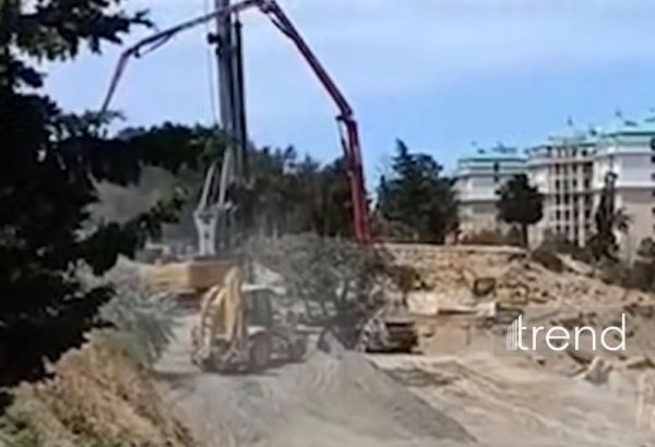 Sumqayıtda yaşıllıqların məhv edildiyi barədə iddialara aydınlıq gətirilib