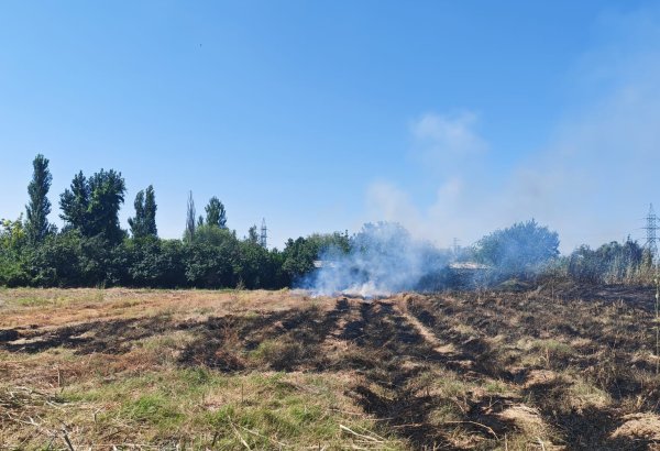 İmişlidə yanğına səbəb olan şəxs müəyyən edilib (FOTO)
