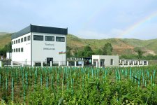 Azərbaycanın “yaşıl enerji” layihələri beynəlxalq karbon bazarında yeni uğura imza atıb (FOTO/VİDEO)