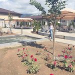 Kara-Oyun isti bulaqları: şəfalı suyun İssık-Kulla bir araya gəldiyi məkan (FOTOREPORTAJ)