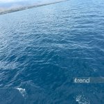 İssık-Kul: Qırğızıstanın insanı yenidən qayıtmağa sövq edən müqəddəs gölü (FOTO/VİDEO)