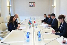 Milli Məclisdə Yaponiya ilə parlamentlərarası münasibətlər müzakirə olunub (FOTO)