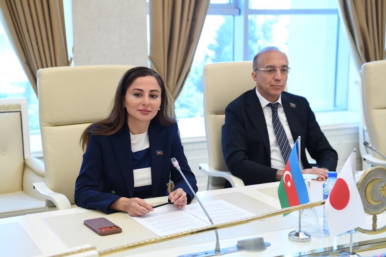 Milli Məclisdə Yaponiya ilə parlamentlərarası münasibətlər müzakirə olunub (FOTO)