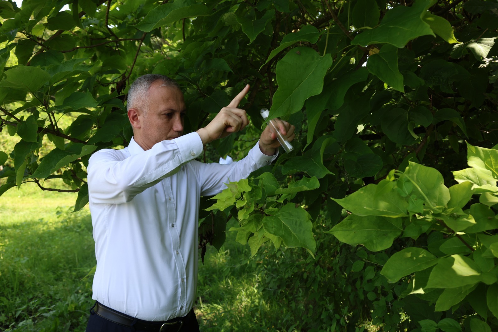 Azərbaycanda yetişdirilən samuray arıları ilk dəfə təbiətə buraxılıb (FOTO)