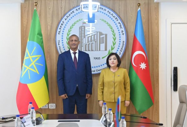 Sahibə Qafarova Efiopiya Federasiya Palatasının sədri ilə görüşüb (FOTO)