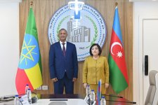 Sahibə Qafarova Efiopiya Federasiya Palatasının sədri ilə görüşüb (FOTO)