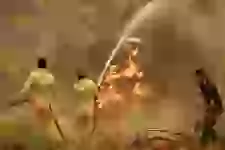 Türkiyədə meşə yanğınlarının miqyası genişlənir (FOTO)