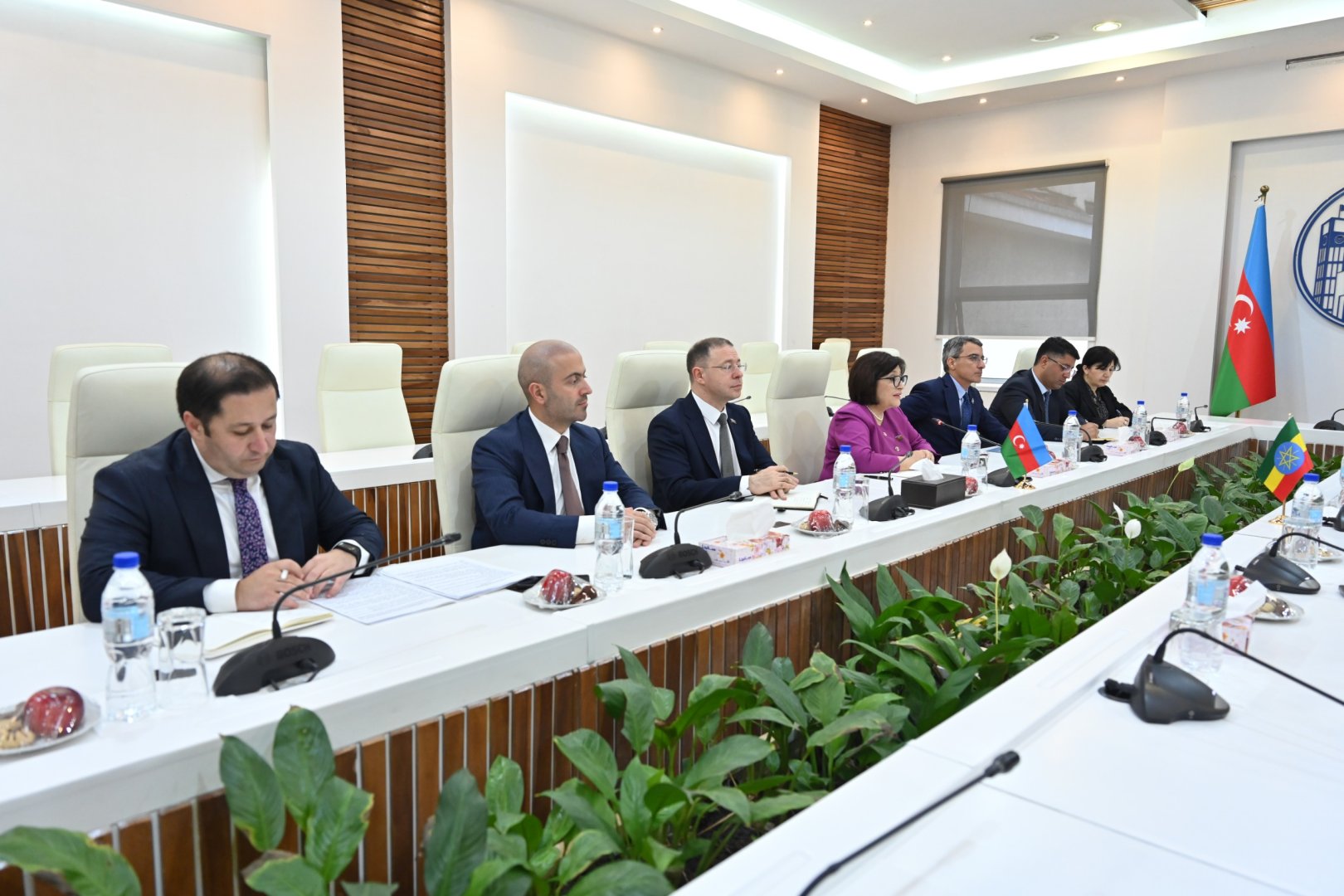 Sahibə Qafarova Efiopiya Xalq Nümayəndələri Palatasının sədri ilə görüşüb (FOTO)