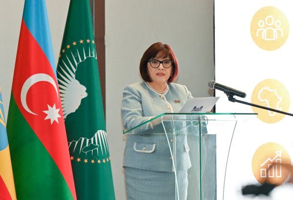 Sahibə Qafarova Efiopiyada bir sıra ölkələrin səfirləri ilə görüşüb (FOTO)