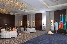 Sahibə Qafarova Efiopiyada bir sıra ölkələrin səfirləri ilə görüşüb (FOTO)