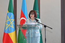 Sahibə Qafarova Efiopiyada bir sıra ölkələrin səfirləri ilə görüşüb (FOTO)
