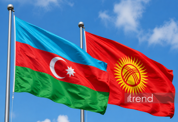 Bakı-Bişkek xəttində yeni mərhələ: Strateji tərəfdaşlıq müttəfiqliyə yüksəlir - Şərh