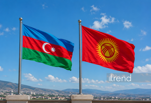 Azərbaycan-Qırğızıstan münasibətləri müttəfiqlik mərhələsinə qədəm qoyub - Rəy