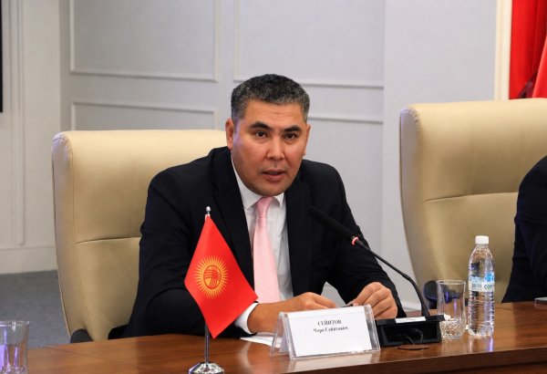 Qırğızıstan Azərbaycanın ölkənin hidroenergetika sahəsinə investisiya yatıracağına ümid edir (MÜSAHİBƏ)