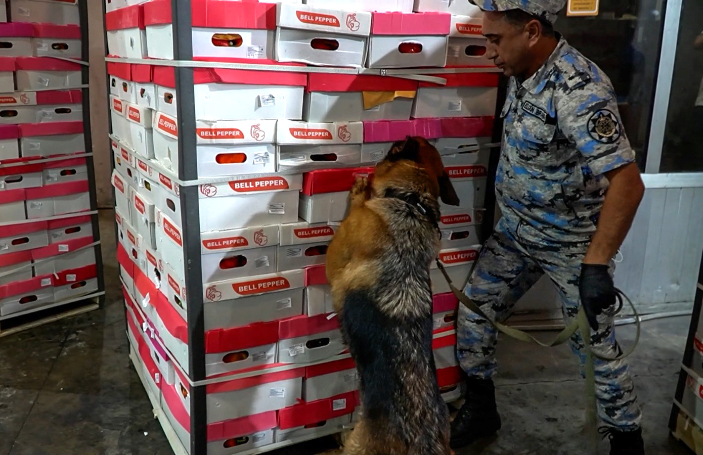 "Astara" gömrük postunda külli miqdarda narkotik vasitə aşkar edilib (FOTO/VİDEO)